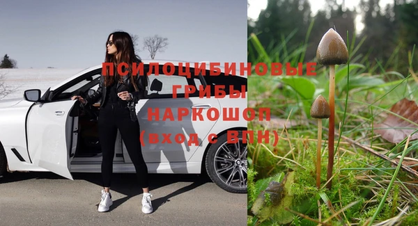 экстази Алексин