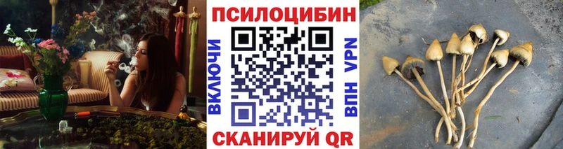 сколько стоит Балашиха Галлюциногенные грибы MAGIC MUSHROOMS