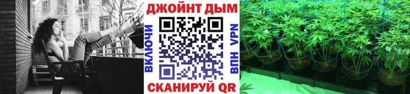 Конопля план  Балашиха 